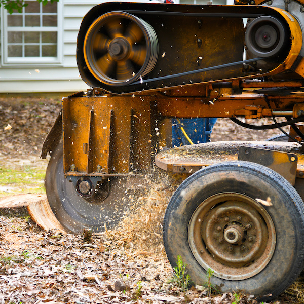 Stump Grinding